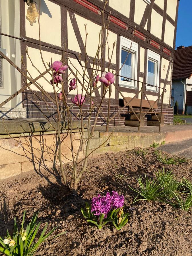 Pferdefairstand'S Ferienwohnung Haunetal Екстер'єр фото